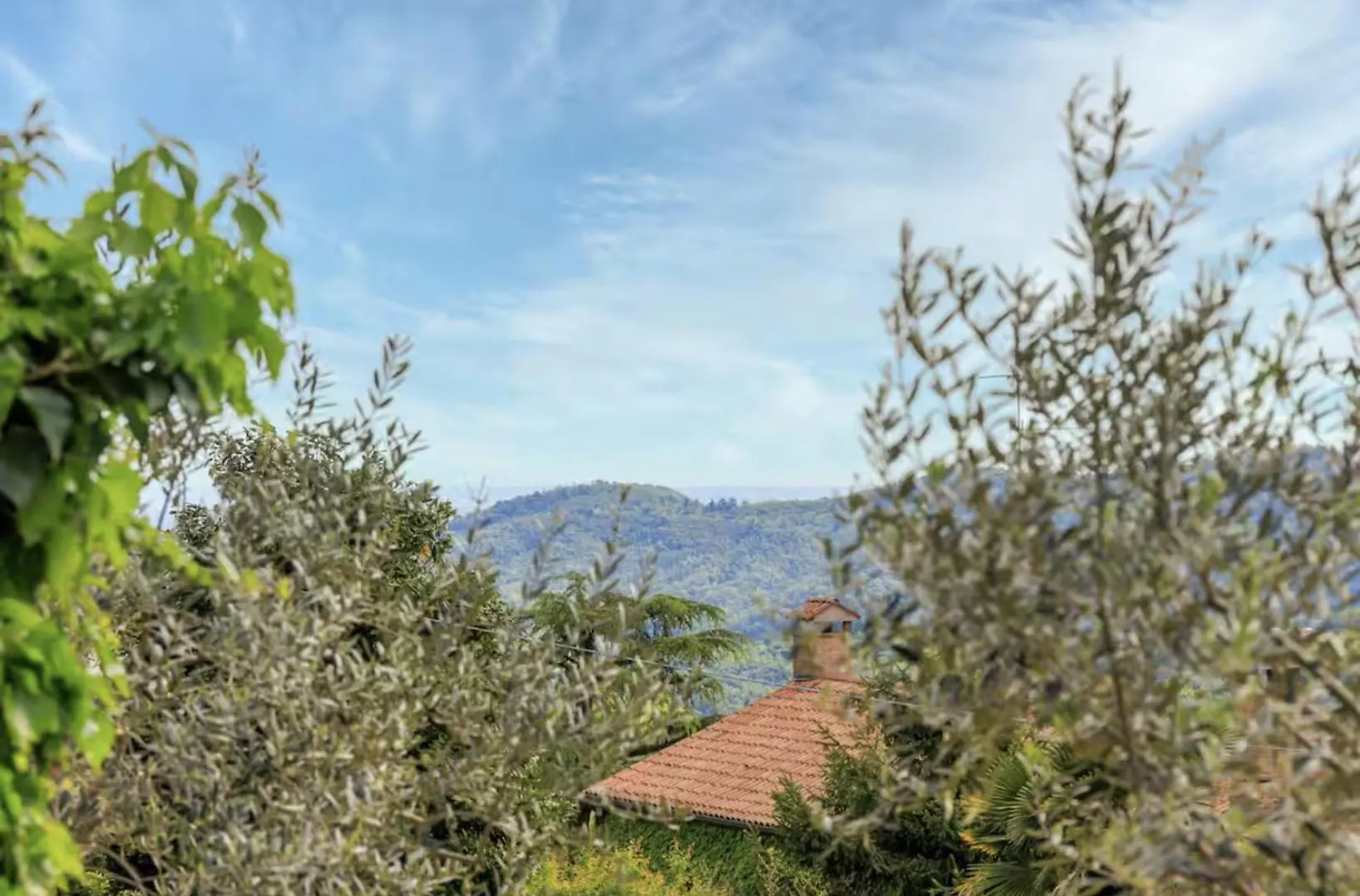 Apartment Elegante Appartamento Con Vista - Colli Euganei Teolo